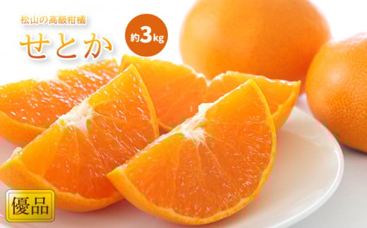 【2月中旬から発送】  せとか ＜優品＞ 約 3kg みかん 柑橘 優品 松山市産みかん 愛媛県 松山市 みかん ミカン 蜜柑 愛媛県産ミカン 松山市産蜜柑 みかん 優品みかん Ｋｏｋｏ’ｏのみかん 優品せとか せとか せとか約3kg