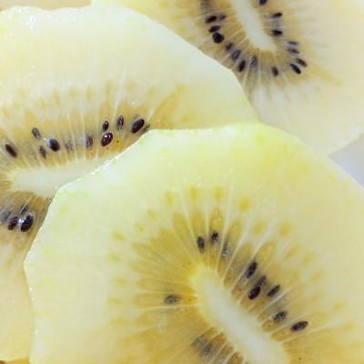 ふるさと納税 三豊市 【2026年10月から順次発送】さぬきゴールドキウイ「黄様」16個入り |  | 03