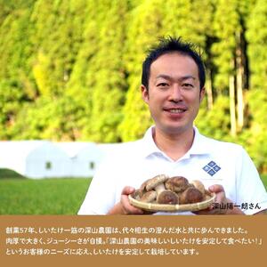 【有機】深山農園の 瀬戸内しいたけ ～肉厚で、大きく、ジューシー～400g