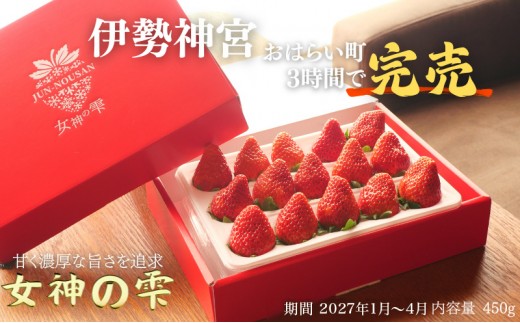 
                  [№5308-0539]＜先行予約＞【伊勢神宮おはらい町で3時間で完売】グルメ家が「今までで1番旨い」とうなったイチゴ【女神の雫】 2027年1月 2月 3月 4月 450g 岐阜県 美濃市 じゅん農産 2 苺 イチゴ いちご フルーツ
                