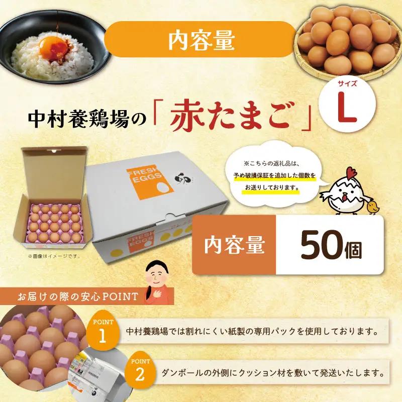 新鮮たまご 赤玉 Lサイズ 50個 中村養鶏場 ny3