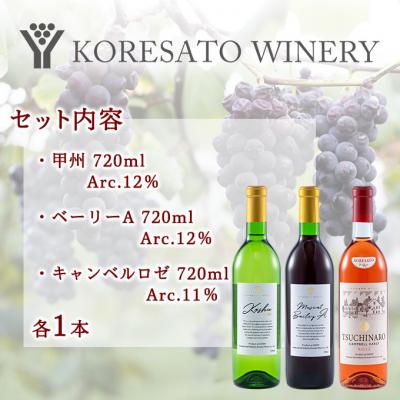ふるさと納税 赤磐市 ワイン 果実酒 甲州  ベーリーA キャンベルロゼ 720ml　各1本[NO5765-1252] |  | 01