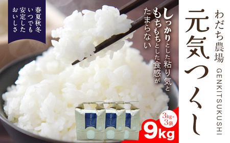 【令和7年度産】元気つくし 9kg 1袋3kg入り わだち農場《30日以内に出荷予定(土日祝除く)》福岡県 鞍手郡 鞍手町 米 コメ 元気つくし 袋 ちらし寿司 こめ