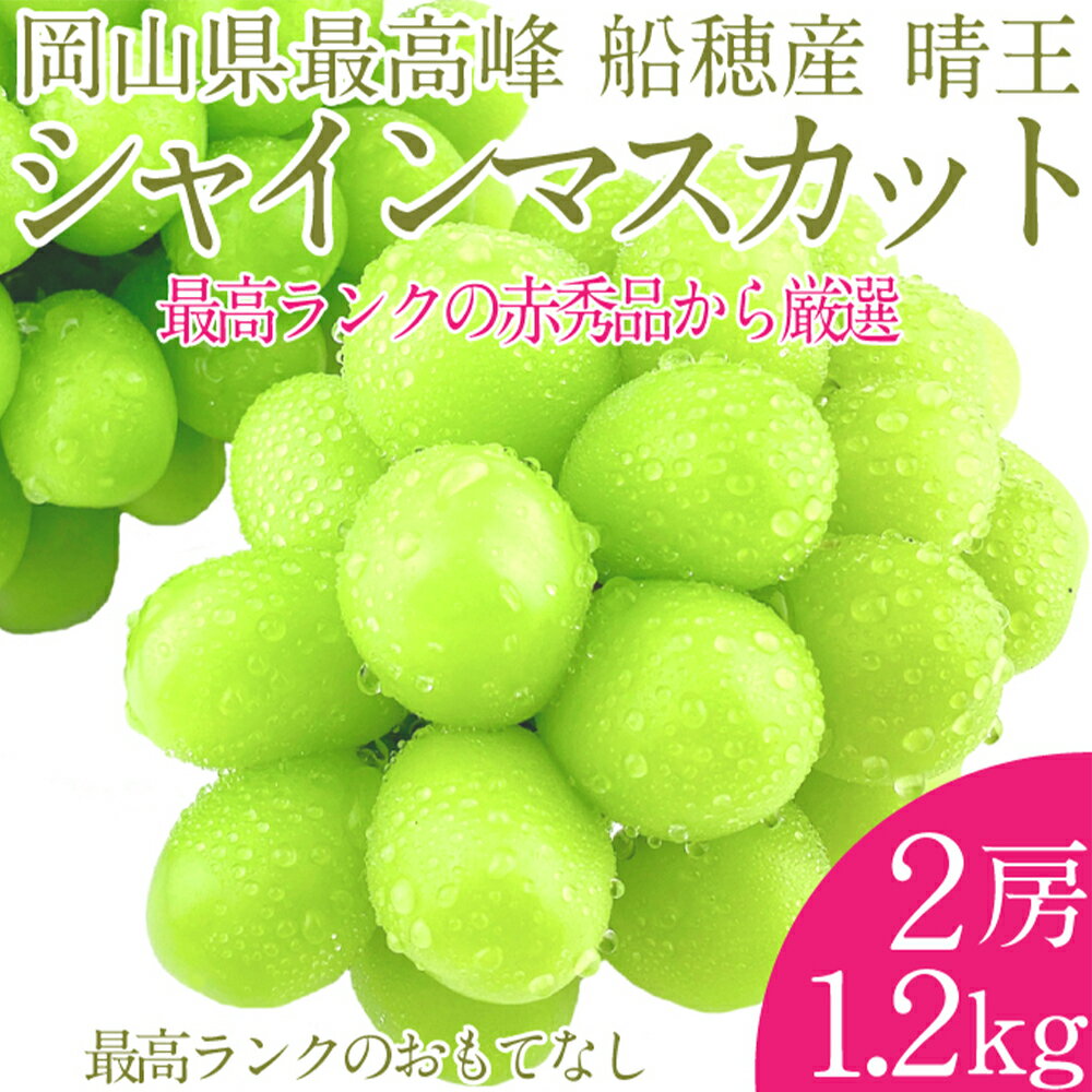 【ふるさと納税】プレミアムシャインマスカット晴王 船穂Ver 赤秀ぶどう 2房 約1.2kg 船穂産 岡山県最高産地 赤秀品以上 岡山県産 皮ごと食べる みずみずしい 糖度保証 クール発送 満天フルーツ 葡萄 倉敷市 送料無料 【先行予約：2026年9月上旬～10月下旬発送予定】