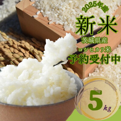 【ふるさと納税】2025年新米 茨城県産 コシヒカリ米(精米)5kg【1620168】