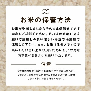 【令和8年4月下旬発送分】【令和7年度産】ななつぼし 5kg「北海道中富良野町産本間農園」【CG-007】