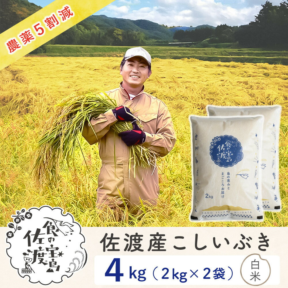 【ふるさと納税】佐渡島産こしいぶき 白米4Kg（2Kg×2袋） 令和7年 ～農薬5割減～ 農家直送 | お米 こめ 白米 食品 人気 おすすめ 送料無料