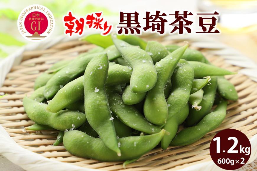 【先行予約】朝採り くろさき茶豆1.2kg｜芳醇な香りと濃厚な旨み〈GI登録産品〉2026年8月発送