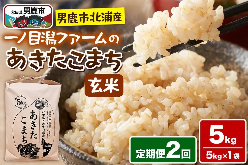 あきたこまち （玄米） 5kg（5kg×1袋） ＜令和7年産＞ 【定期便2ヶ月】 「秋田県男鹿市北浦産」 一ノ目潟ファーム 秋田県 男鹿市