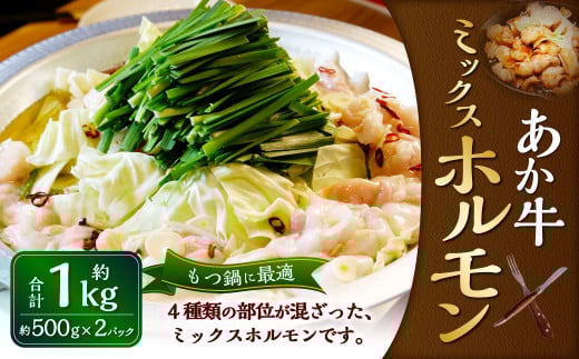 熊本和牛 あか牛ホルモン 1kg（500g×2パック）和牛 ホルモン ミックス ミックスホルモン モツ 国産 九州産 惣菜 冷凍 熊本県 湯前町