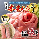 【ふるさと納税】【定期便】【3ヶ月連続お届け】 刺身用！本マグロ 大トロ（柵どり） 500g × 3回【最新の冷凍技術】[H-11007] / 国産 グルメ マグロ