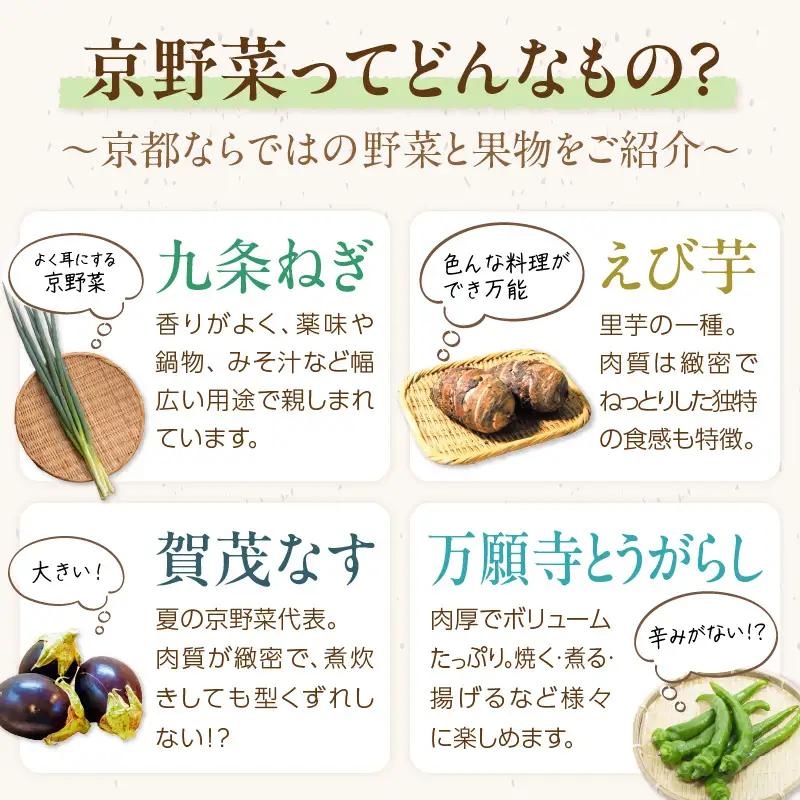 旬の野菜セット4回定期便 京丹後産 野菜おまかせBOX