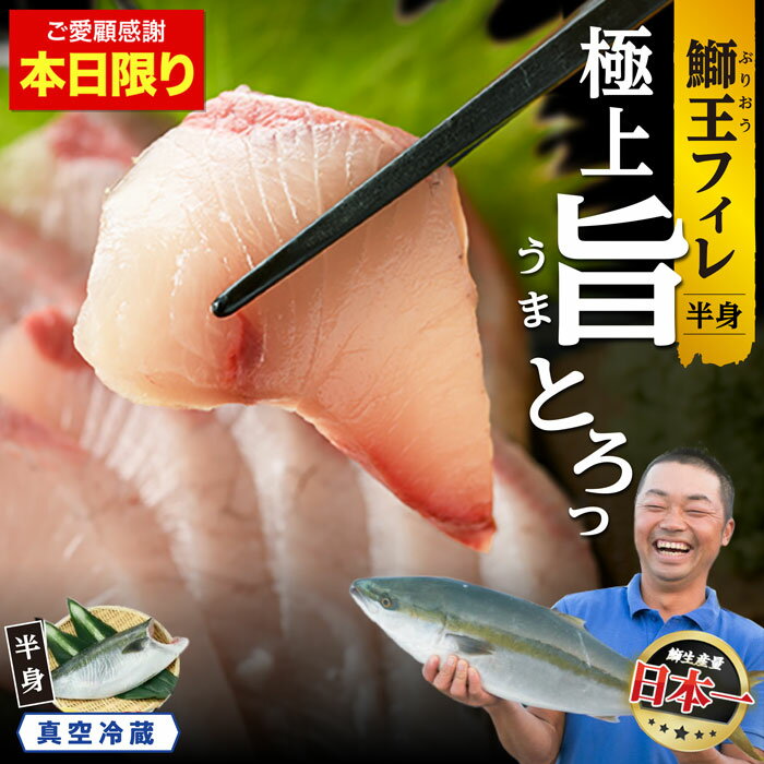 【ふるさと納税】【5/10限定 ご愛顧感謝寄付金額 「新物 鰤王」14000円→12000円 】【高評価 4.79】【選べる「鰤王」「新物 鰤王」】テレビで紹介ぶりの王様「 鰤王 」 フィレ 1枚 切り身 冷蔵 真空パック ふるさと納税 ぶり 刺身 切り身 鰤 たたき 【JFA】jfa-1483