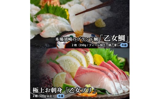 刺身 定期便 3ヶ月 お好きなお魚が選べる！ 小島水産 産地直送 3回 新鮮 かつおタタキ 真鯛 ブリ 刺身 乙女鯛 乙女ブリ 藁焼き かつお タタキ 鯛 タイ たい 鰤 鰹 かつおのたたき タタキ 