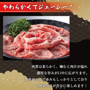 【ふるさと納税】博多和牛切り落とし 500g [a0429] 株式会社Meat Plus ※配送不可：離島【返礼品】添田町 ふるさと納税