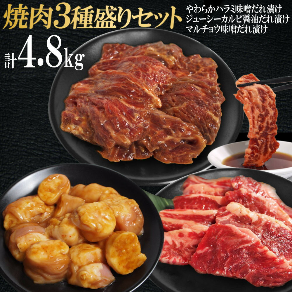 【ふるさと納税】焼肉3種盛りセット(ハラミ・カルビ・マルチョウ)4.8kg | お肉 肉 にく 牛肉 牛 うし 情熱ホルモン 焼肉 焼肉用 味噌だれ 漬け 味噌味 ハラミ ジューシー カルビ かるび マルチョウ 人気 おすすめ 送料無料 香川県 高松市