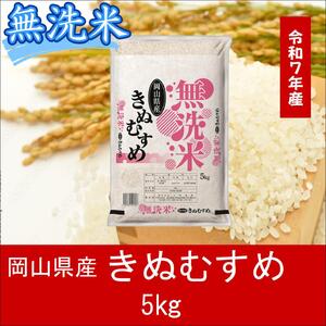 無洗米　きぬむすめ　5kg　令和7年産　岡山県産　米　【最短２〜７営業日出荷】　上-3