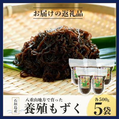 ふるさと納税 石垣市 石垣島産 八重山地方で育った養殖もずく5パック・内容量500g×5 合計2.5kg |  | 03