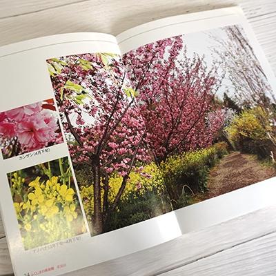 ふるさと納税 福島市 写真集 ふくしまの桃源郷「花見山」　No.1148 |  | 01