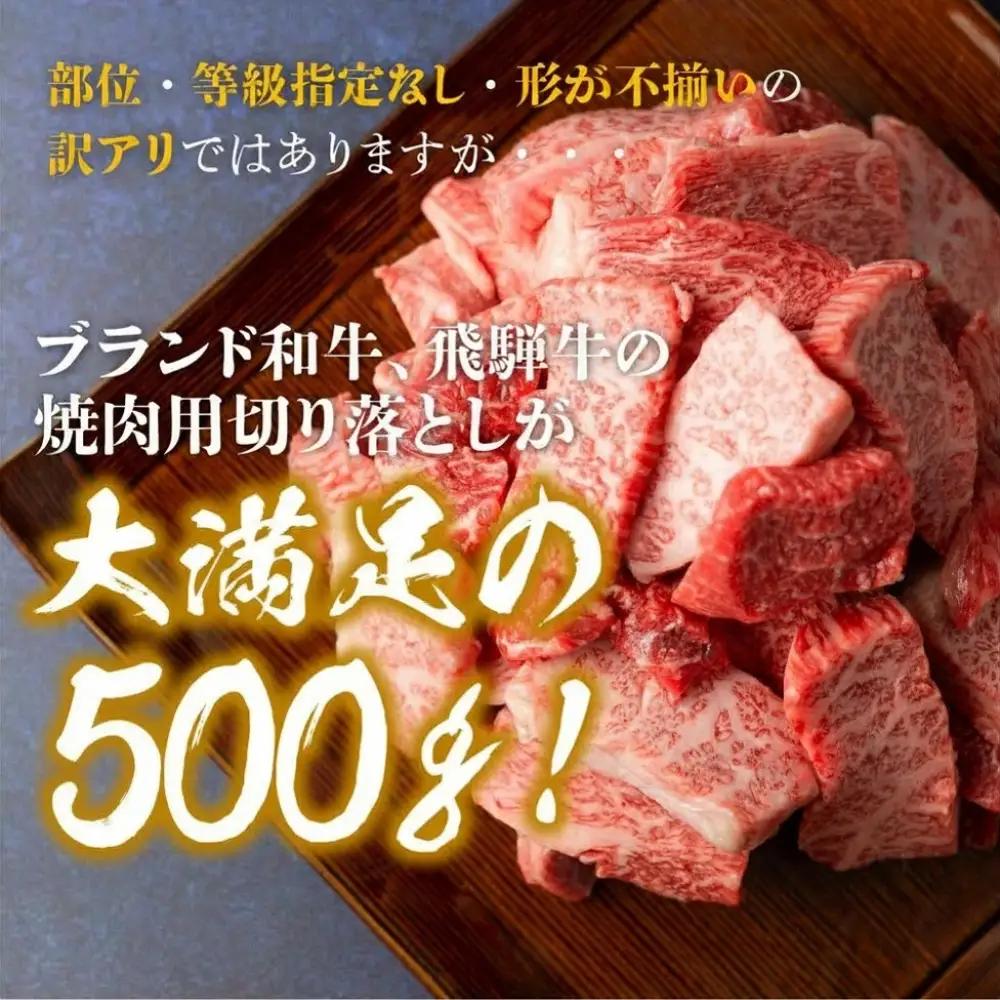 訳あり 飛騨牛焼肉切落し 500g  |  牛肉 牛肉 [BV031]　FN-Limited-SP