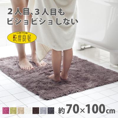 ふるさと納税 海南市 乾度良好 Dナチュレ バスマット 約70×100cm ブラウン 吸水速乾 裏面すべり止め加工