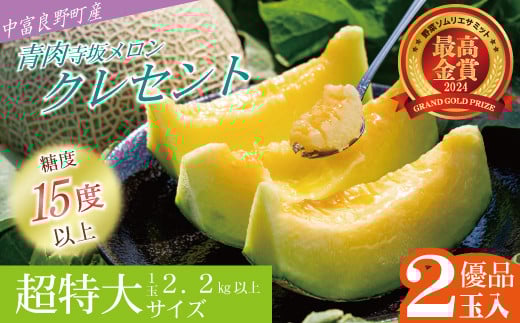 【2026年発送】【中富良野町】寺坂メロン　2玉入り（青肉超特大）