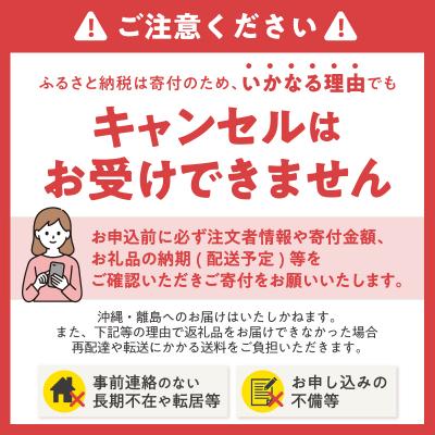 ふるさと納税 富士市 96ロール相当 トイレットペーパー ダブル 48ロールエコロジー2倍巻き 日用 sf002-557 |  | 03