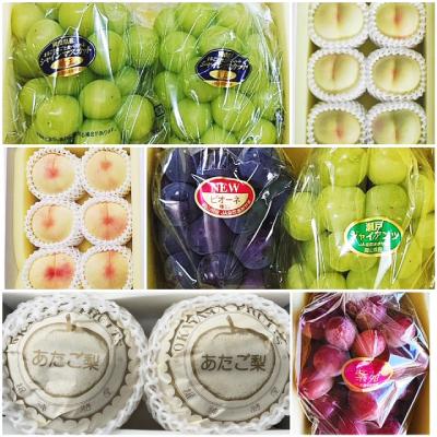 ふるさと納税 津山市 【発送月固定定期便】岡山県産 フルーツ定期便全6回 |  | 01