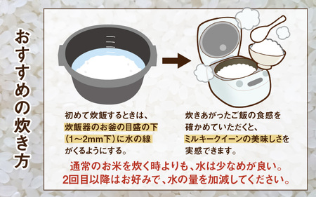 【令和5年産】ミルキークイーン 2kg×3（計6kg）精米《お米マイスターが発送直前に精米！》 / 北陸 福井県産 あわら市産 ブランド米 ご飯 白米 新鮮 人気の米