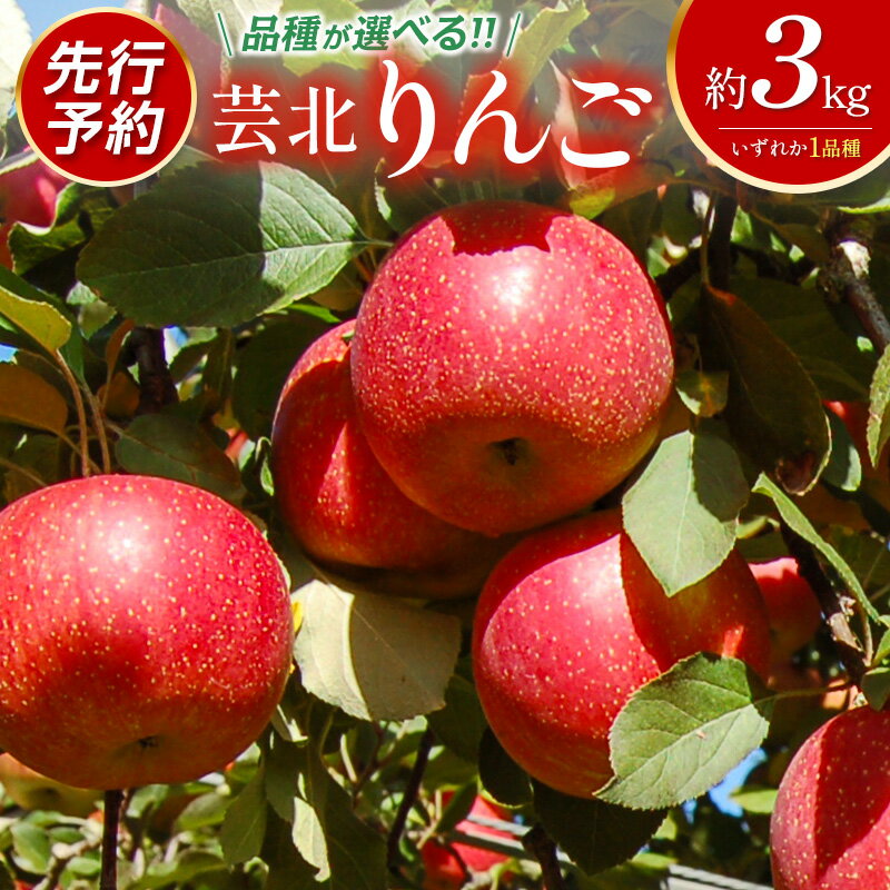 【ふるさと納税】≪9月中旬以降発送≫ りんご 3kg 品種が選べる 国産 農家直送 芸北りんご 林檎 つがる 秋映 ぐんま名月 シナノゴールド ふじ