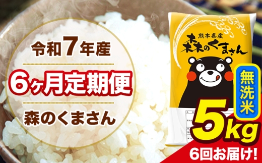 令和7年産 森のくまさん 無洗米 5kg 5kg×1袋 計6回お届け 《お申込み翌月から出荷》 お米 こめ 熊本県産 ご飯 備蓄