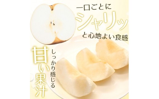 梨 新高 北浦梨 3kg（12～16玉） / 梨 新高 なし ナシ 北浦梨 にいたか 美里 自家用 贈答 梨 新高 果物 フルーツ【okjn003】