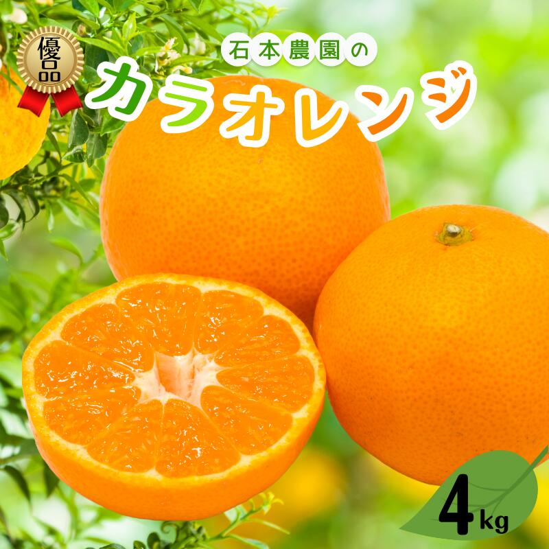 【ふるさと納税】 【先行予約】M以上の優品 石本農園の カラオレンジ 約4kg【2026年4月初旬から下旬までに順次発送】 / くだもの フルーツ 果物 みかん ミカン 蜜柑 カラ カラオレンジ