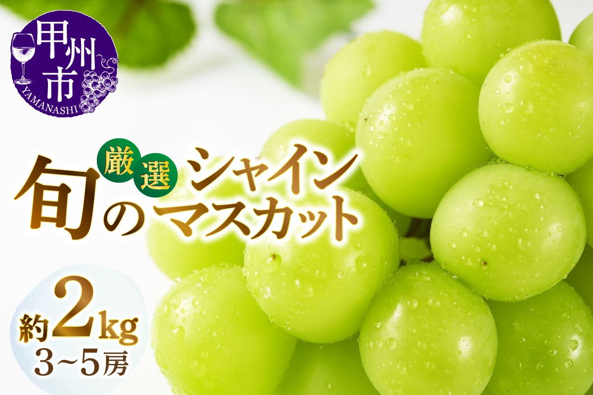 
                  甲州市産厳選旬のシャインマスカット 約2kg 3房～5房入り【2026年発送】（MG）B18-450 【シャインマスカット 葡萄 ぶどう ブドウ 令和8年発送 期間限定 山梨県産 甲州市 フルーツ 果物】
                