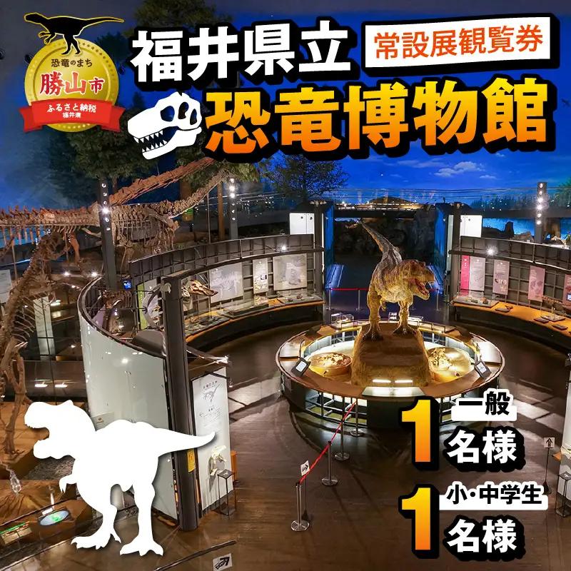 恐竜博物館 観覧券 常設展 一般1名＋小中学生1名 [A-048009]