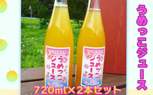 
【添加物不使用】うめっこジュース（720ml×2本セット） 【1665】
