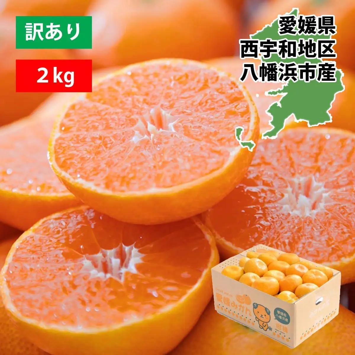 【先行受付】西宇和地区八幡浜産 愛媛みかん2kg【訳あり】【A25-173】YWTAP114