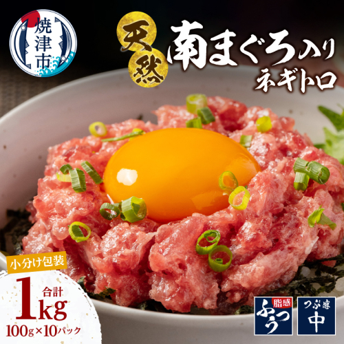 a15-710　ミナミマグロ入り マグロのたたき 100g 小分け パック セット 焼津 海の極 ネギトロ 天然 新鮮 冷凍 ねぎとろ 小分け 1kg（100g× 10パック）