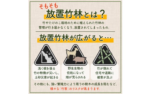 i1365-A 鹿児島めんま 出汁醤油(100g×4P) めんま 出汁 醤油 国産 九州 常温 味付き 味付け おつまみ おかず ごはんのお供 晩酌 ラーメン 具材 トッピング 漬物 竹 幼竹 孟宗竹