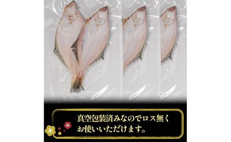 エテカレイ干物 1kg(5～8尾) 魚 干物 エテカレイ 加工食品 ひらき 魚介 魚介類 魚の開き 焼き魚 焼魚 干物 ひもの おかず 福井県