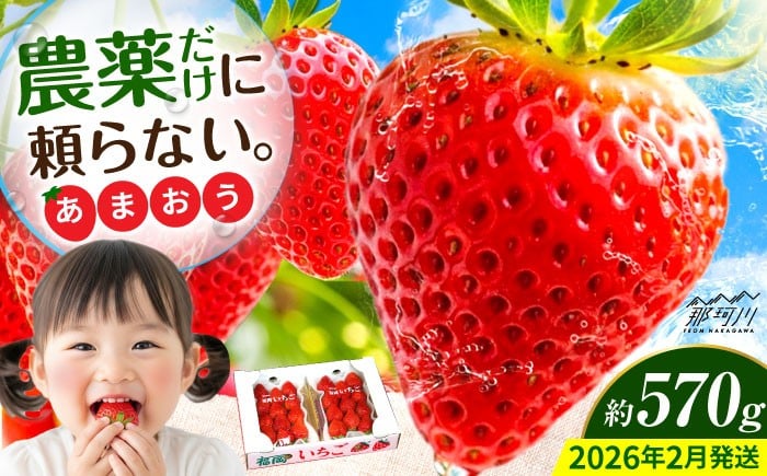 
            【2026年2月より発送】『自然環境農法』で育てた福岡県産 あまおう 約285g×2パック＜おおきべりー株式会社＞那珂川市 フルーツ いちご 果物 イチゴ 苺 あまおう いちご 期間限定 [GZE001]
          