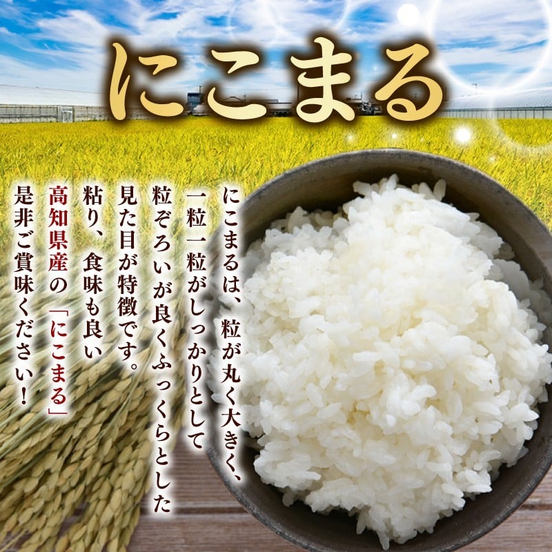 【令和8年産】 米 にこまる 5kg お米 白米 精米 ごはん ご飯 高知県産 弁当 おにぎり 料理 高知県安芸市 超早場米 粒ぞろい ふっくら 粘り 食味 四国 山地 清流 安芸平野 日照時間 風 