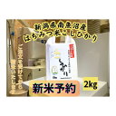 【ふるさと納税】【令和7年産・新米予約】新潟県南魚沼産（塩沢地区）はちみつ米コシヒカリ 2kg※蜂蜜発酵液肥料栽培 | お米 こめ 白米 食品 人気 おすすめ 送料無料