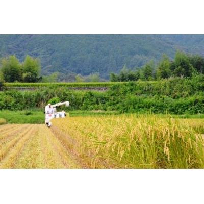 ふるさと納税 越知町 令和8年産　新米　仁淀ブルーの恵み「おち米」 30kg(香り米100%) |  | 01