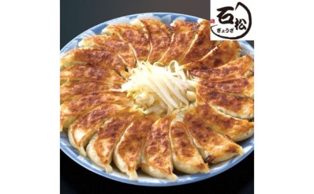 元祖 浜松餃子 石松の浜松餃子 食べ比べセット 石松餃子 40個 肉餃子 18個 セット 詰め合わせ ぎょうざ 餃子 ギョーザ 冷凍餃子 冷凍ぎょうざ 冷凍 冷凍食品 中華 惣菜 食品 おかず 食べ比べ 静岡 静岡県 浜松市 【配送不可：離島】