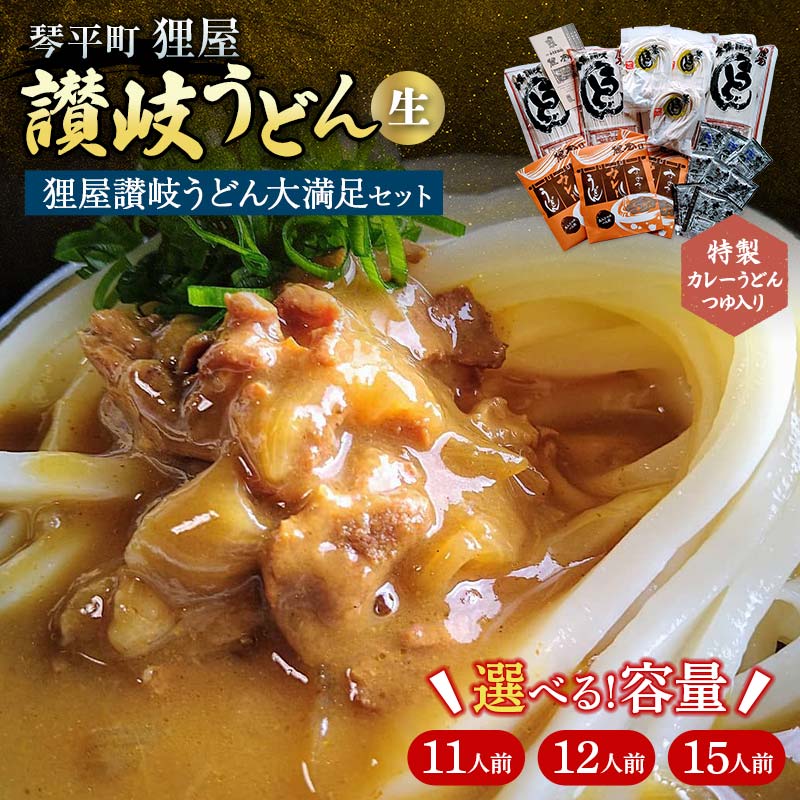 【ふるさと納税】特製カレーうどんつゆ入り 狸屋讃岐うどん大満足セット 詰合せ 生うどん カレー つゆ うどん 本場 讃岐 讃岐うどん さぬきうどん ご当地 グルメ 名産品 食品 四国 F5J-442var