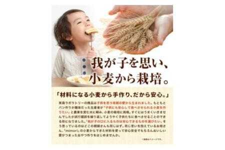 美馬市産 薄力粉 2.6kg お菓子
