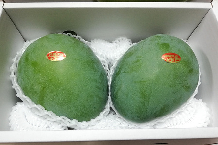 【 先行予約 2026年 発送 】 濃厚な大人の味 沖縄県「 キーツマンゴー 」1.5kg 沖縄県産 マンゴー 1.5キロ 緑色 希少 国産 果物 南国 くだもの フルーツ 夏 旬 特産品 沖縄 お取