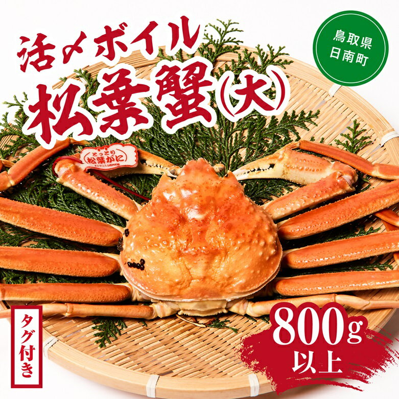【先行予約】【ふるさと納税】【タグ付き】活〆ボイル松葉蟹(大) 800g以上 松葉ガニ 松葉がに カニ かに 境港 マルツ 鳥取県日南町