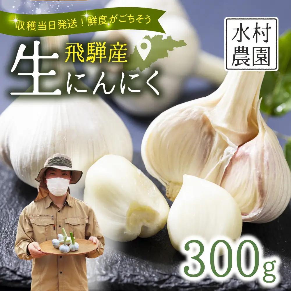 飛騨産生にんにく 300g 水村農園 にんにく